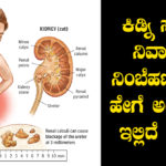 home-remedies-for-kidney-stone-in-kannada