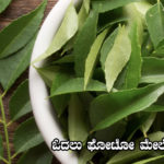 a-detail-of-curry-medicinal-properties