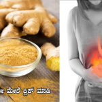 best-home-remedies-for-acidity-is-ginger-in-kannada