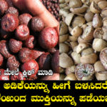 health-benefits-of-betel-nut