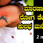 home-remedies-for-dengue-mosquito