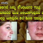 mentya home remedies for face