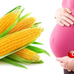 the-use-of-corn-for-the-health-problem-of-pregnant-women-is-arrow-arrow