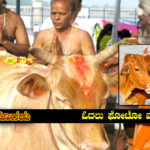 cow-importance-in-india-on-kannada