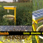 solar-insects-trap