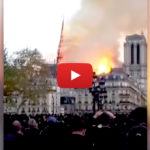 Notre Dame cathedral spire collapses