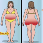 body fat