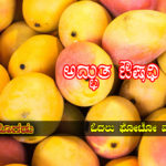 mango-health-benefits